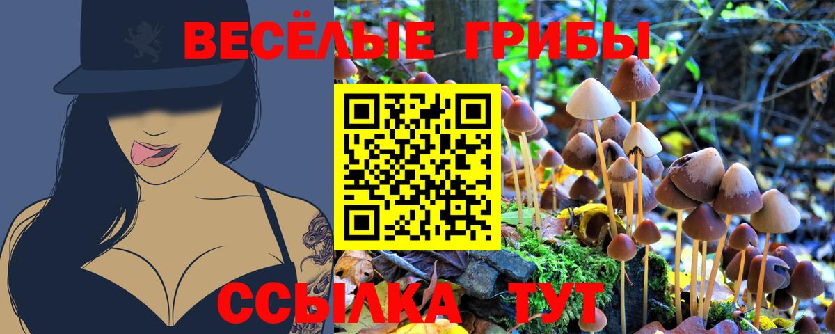 Галлюциногенные грибы прущие грибы  Галлюциногенные грибы Magic Shrooms  цена   Екатеринбург  Вход с VPN 